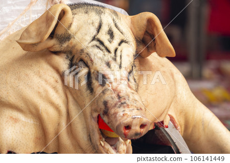 中國鬼節福都宗教祭祀大女神中國鬼節普渡宗教祭祀大神豬 106141449