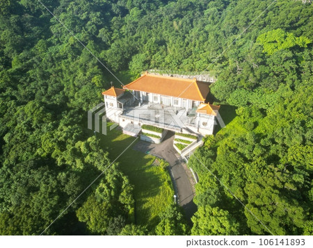 Taipei, Taiwan, TREE 106141893