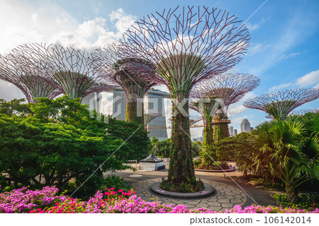 February 6, 2020 106142014