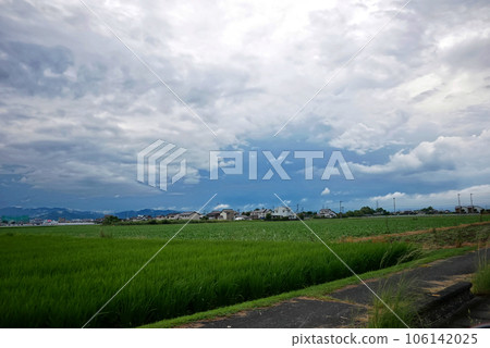 從車上看到的夏日風景 106142025
