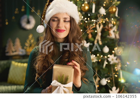 happy stylish 40 years old housewife at modern home happy stylish 40 years old housewife at modern home 106142355