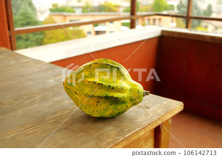 Autumn tradition in Italy Pumpkins of various unusual shapes 106142713