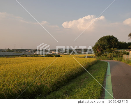 晚上鄉村景觀 晚上鄉村景觀 106142745