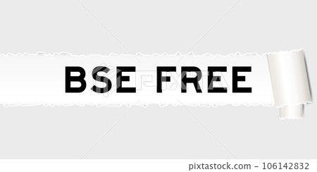 Ripped gray paper background that have word BSE (bovine spongiform encephalopathy) free under torn part 106142832