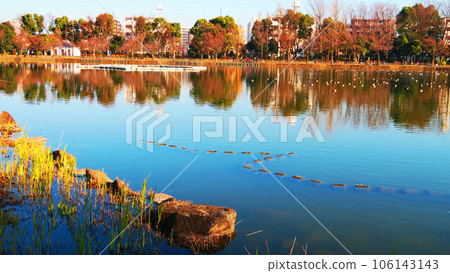 Winter scenery of Ukima Pond in Ukima Park 106143143
