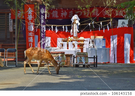 出現在金華山龍神祭現場的鹿宮城 106143158