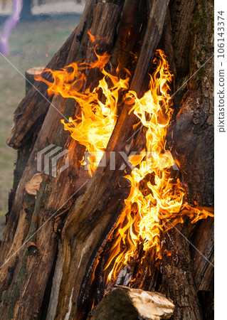 Beautiful fire flames on a campfire 106143374