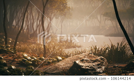 Sunrise with sunbeams through the forest by the lake Sunrise with sunbeams through the forest by the lake 106144214