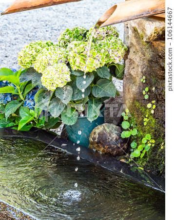 背景素材夏日清涼風景清爽的水滴在水碗中激起漣漪 106144667