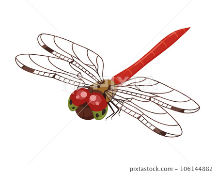 Illustration of Akiakane _ Diagonal upper _ Feather transmission Illustration of Akiakane _ Diagonal upper _ Feather transmission 106144882