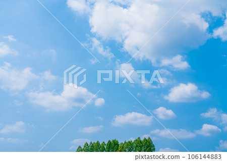 Sky and trees background material Sky and trees background material 106144883