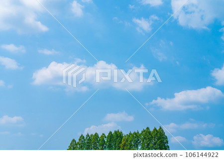 Sky and trees background material 106144922