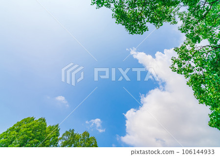 Sky and trees background material 106144933
