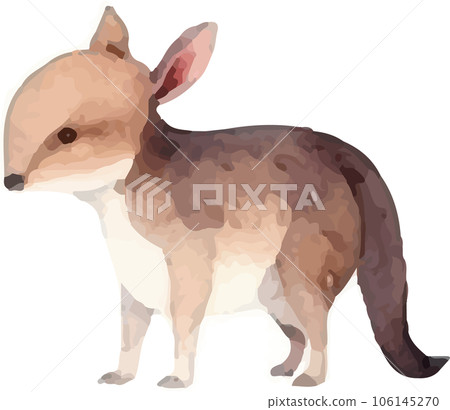 animal cute cartoon illustration character animal cute cartoon illustration character 106145270