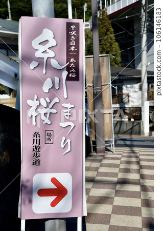 櫻花節標誌 櫻花節標誌 106146183