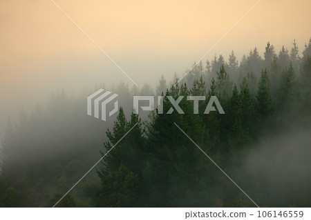 Mountains in mist in New Zealand Mountains in mist in New Zealand 106146559