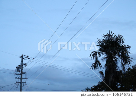 夏天的樹木和電線 106146721