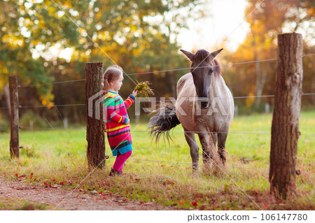 Little girl feeding a horse Little girl feeding a horse 106147780