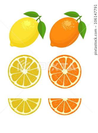 Set of lemon slice lemon fruit and leaf Vector illustration. 106147791
