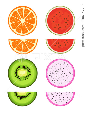 citrus and exotic tropical fruit slice vector 106147792