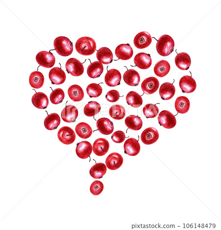 Fresh juicy cranberries laid out in the shape of heart. Red berries isolated in white. Top view. For invitation, cards, greetings, package design, advertising posters, labels Fresh juicy cranberries laid out in the shape of heart. Red berries isolated in white. Top view. For invitation, cards, greetings, package design, advertising posters, labels 106148479