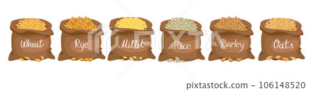 Cereals set. Linen bags with grains wheat, rye, oats, rice, barley, millet. Harvest, agriculture. Illustration, vector 106148520