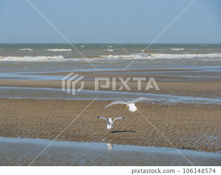 the beach of De Haan at the belgian north sea coast 106148574