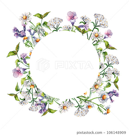 Circle frame of meadow medicinal flower, lungwort herb plants watercolor illustration isolated on white. Chamomile, nettle, achillea millefolium hand drawn. Design for label, package, postcard Circle frame of meadow medicinal flower, lungwort herb plants watercolor illustration isolated on white. Chamomile, nettle, achillea millefolium hand drawn. Design for label, package, postcard 106148909