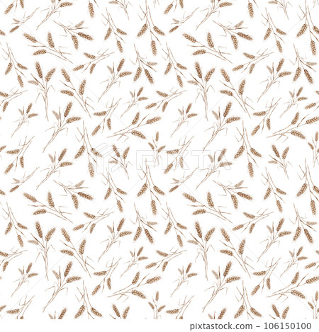 Seamless wheat spikelet pattern. Watercolor herbal background with wheat spica, oats spikelet illustration for textile, wallpapers, bakery decor. Wheat spikelets watercolor seamless pattern Seamless wheat spikelet pattern. Watercolor herbal background with wheat spica, oats spikelet illustration for textile, wallpapers, bakery decor. Wheat spikelets watercolor seamless pattern 106150100