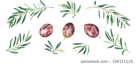 Olive branches and red olives set isolated on white background. Watercolor hand drawn botanical illustration. Can be used for menu, logos and product, food packaging design Olive branches and red olives set isolated on white background. Watercolor hand drawn botanical illustration. Can be used for menu, logos and product, food packaging design 106151128
