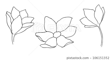 Black ink contour linear sketch silhouette. Flower icon. Vector simple flat graphic hand drawn illustration. Isolated object on a white background. Black ink contour linear sketch silhouette. Flower icon. Vector simple flat graphic hand drawn illustration. Isolated object on a white background. 106151352
