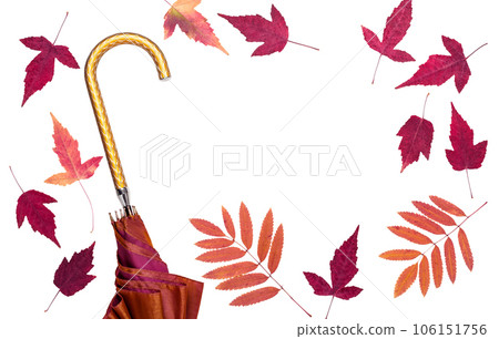 Female fashion autumn golden umbrella and dry leaves frame cut out on white background 106151756