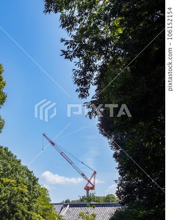 A red crane seen from the forest A red crane seen from the forest 106152154