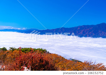 [雲海素材]秋天從神風形山看到稻穀的雲海[長野縣] 106152752