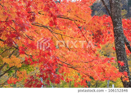 Yubari Takinoue Park "Autumn Hokkaido" Yubari Takinoue Park "Autumn Hokkaido" 106152846