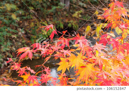Yubari Takinoue Park "Autumn Hokkaido" Yubari Takinoue Park "Autumn Hokkaido" 106152847