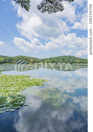 Fukushima Nanko Park on a sunny day Fukushima Nanko Park on a sunny day 106154708