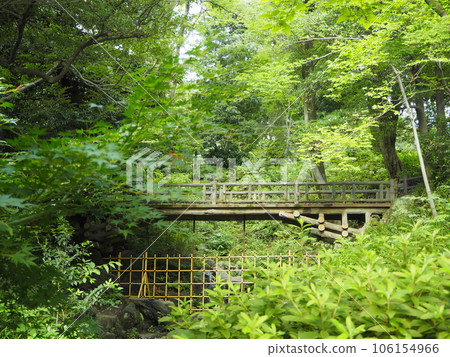 The Arisugawa-no-miya Memorial Park, a quiet park in the heart of the city 106154966