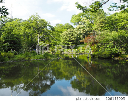 The Arisugawa-no-miya Memorial Park, a quiet park in the heart of the city 106155005