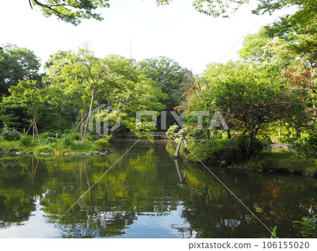The Arisugawa-no-miya Memorial Park, a quiet park in the heart of the city 106155020