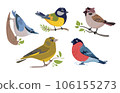 Birds vector illustration set. Sparrow, bullfinch, greenfinch, great tit, titmouse, nuthatch. Feathered characters. Cute prints in a flat style 106155273
