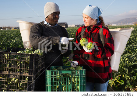 African american man farmer stands with a young woman colleague, discussing working moments African american man farmer stands with a young woman colleague, discussing working moments 106155692