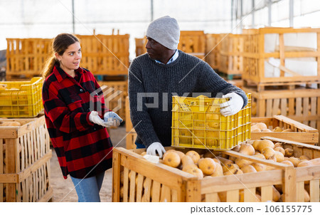 Man and young woman having conversation honeynut squashes crop in warehouse 106155775