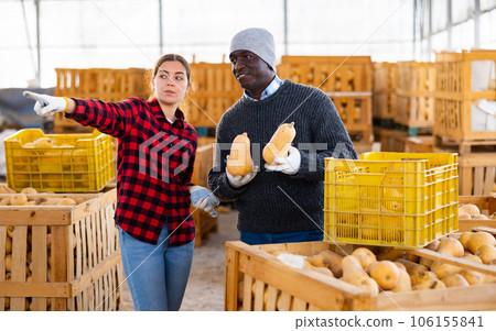Man and woman farmers talking during stacking pumpkins 106155841