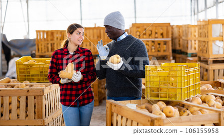 Two farmers discusses work issues, holding pumpkins 106155958