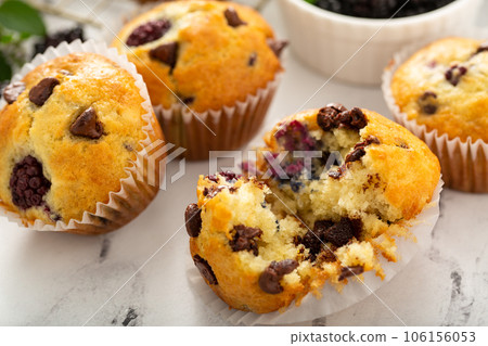 Blackberry and chocolate chip muffins, summer recipe 106156053