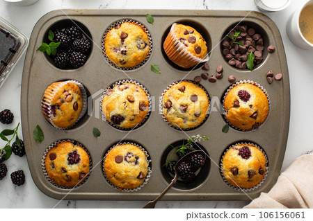 Blackberry and chocolate chip muffins, summer recipe 106156061