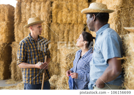 Farm workers friendly chatting near haystack in hayloft Farm workers friendly chatting near haystack in hayloft 106156699