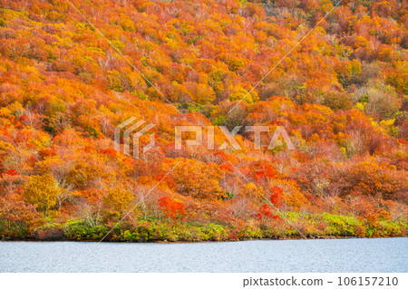 Autumn Nekomagatake and Oguninuma trekking (autumn leaves of Oguninuma) Autumn Nekomagatake and Oguninuma trekking (autumn leaves of Oguninuma) 106157210