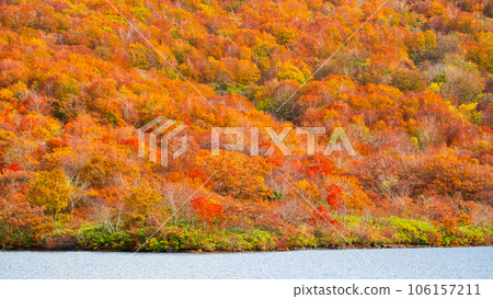 Autumn Nekomagatake and Oguninuma trekking (autumn leaves of Oguninuma) Autumn Nekomagatake and Oguninuma trekking (autumn leaves of Oguninuma) 106157211